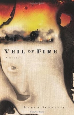 Veil of Fire: A Novel