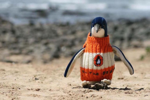 Ultimate Penguin gear