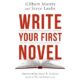 write your first novel book cover image